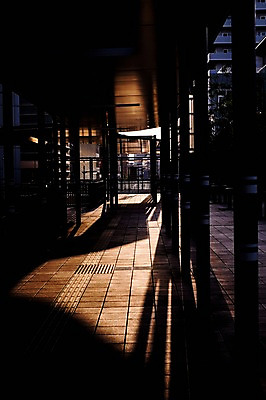 포토 JPG 주간 그림자 사람없음 야외 건물 일출 일본 일몰 도시 기후현 국내포토 자연요소 건축물 아시아 노을 파일형식