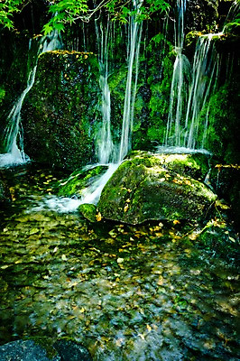 포토 JPG 주간 자연 이끼 풍경 사람없음 야외 물 강 계곡 일본 바위 기후현 국내포토 자연요소 아시아 돌_바위 생태계 파일형식