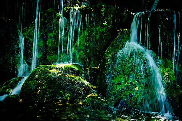 포토 JPG 주간 자연 이끼 풍경 사람없음 야외 물 강 계곡 일본 바위 기후현 국내포토 자연요소 아시아 돌_바위 생태계 파일형식