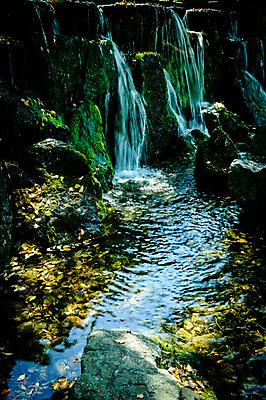 포토 JPG 주간 자연 이끼 풍경 사람없음 야외 물 강 계곡 일본 바위 기후현 국내포토 자연요소 아시아 돌_바위 생태계 파일형식