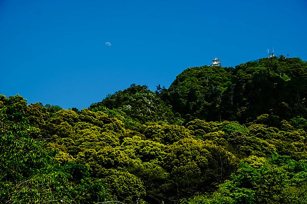 포토 JPG 주간 고건축 자연 하늘 산 풍경 사람없음 야외 건물 일본 일본건축 기후현 국내포토 자연요소 건축물 아시아 동양건축 생태계 파일형식