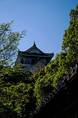 포토 JPG 주간 나무 고건축 풍경 사람없음 야외 건물 일본 일본건축 국내포토 자연요소 식물 건축물 아시아 동양건축 파일형식