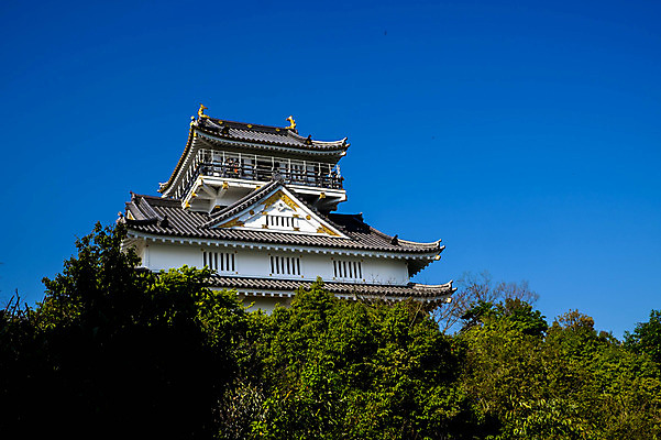 포토 JPG 주간 나무 고건축 풍경 사람없음 야외 건물 일본 일본건축 국내포토 자연요소 식물 건축물 아시아 동양건축 파일형식