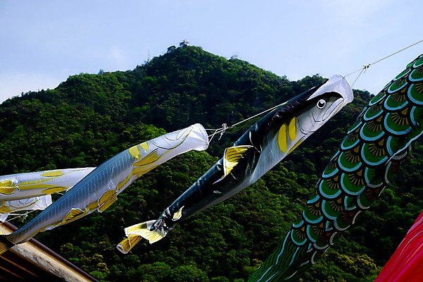 포토 JPG 주간 날리기 풍경 사람없음 야외 일본 일본전통 국내포토 자연요소 전통 아시아 모션 파일형식