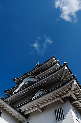 포토 JPG 주간 로우앵글 고건축 하늘 풍경 사람없음 야외 건물 일본 일본전통 일본건축 국내포토 자연요소 전통 건축물 아시아 뷰포인트 동양건축 파일형식
