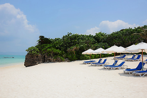 포토 JPG 주간 나무 풍경 해변 사람없음 야외 모래사장 일본 파라솔 선베드 국내포토 자연요소 식물 아시아 바다 의자 파일형식