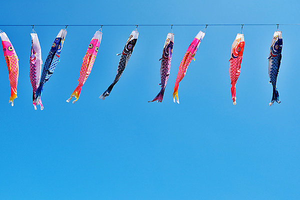 포토 JPG 주간 하늘 풍경 사람없음 야외 일본 일본전통 국내포토 자연요소 전통 아시아 파일형식