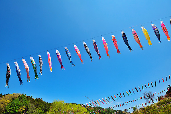 포토 JPG 주간 하늘 풍경 사람없음 야외 일본 일본전통 국내포토 자연요소 전통 아시아 파일형식