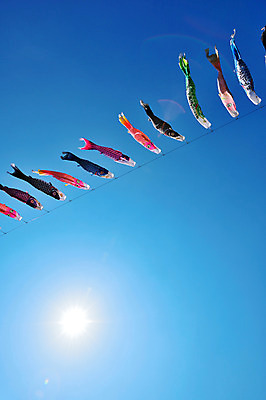 포토 JPG 주간 하늘 풍경 사람없음 야외 일본 일본전통 고이노보리 국내포토 자연요소 전통 아시아 깃발 파일형식