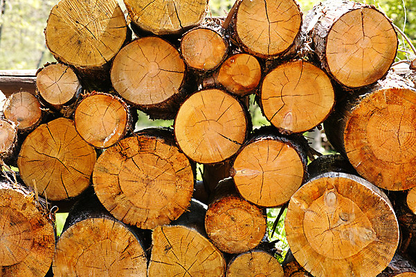 포토 JPG 주간 배경화면 백그라운드 농업 사람없음 야외 쌓기 농사 일본 여러개 장작 국내포토 자연요소 산업 아시아 다수 모션 파일형식