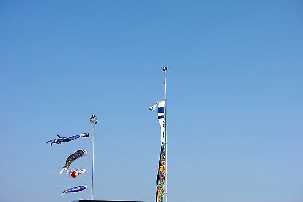 포토 JPG 주간 하늘 날리기 풍경 사람없음 야외 일본 일본전통 고이노보리 야마나시 국내포토 자연요소 전통 아시아 모션 깃발 파일형식