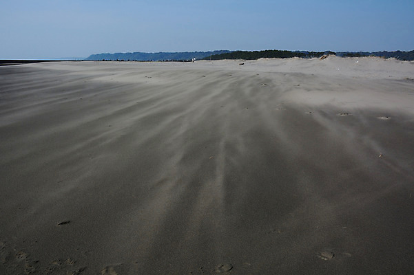 포토 JPG 주간 모래 자연 바람 풍경 사람없음 야외 모래사장 일본 강풍 국내포토 자연요소 아시아 바다 날씨 생태계 파일형식