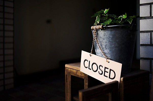 포토 JPG 주간 식물 사람없음 야외 일본 닫힘 양동이 클로즈 국내포토 자연요소 아시아 모션 파일형식