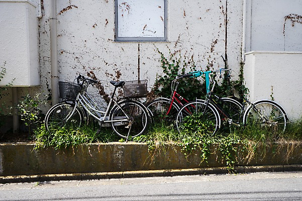 포토 JPG 주간 사람없음 야외 일본 자전거 도시 화단 여러대 국내포토 자연요소 아시아 다수 바이크 파일형식