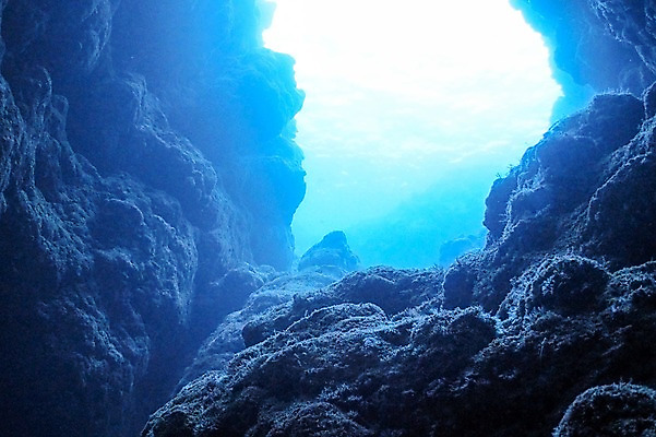 포토 JPG 바다 풍경 사람없음 일본 바닷속 수중 수중동물 바위 동굴 수중사진 국내포토 동물 아시아 돌_바위 파일형식