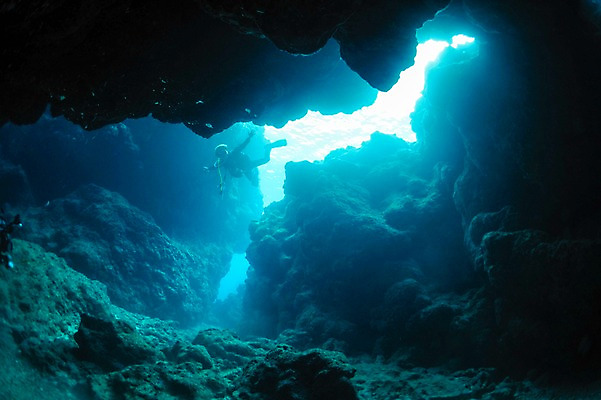 포토 JPG 바다 풍경 사람없음 일본 바닷속 수중 수중동물 바위 동굴 수중사진 국내포토 동물 아시아 돌_바위 파일형식