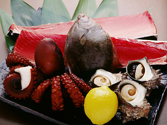 포토 JPG 식재료 사람없음 소라 참치 레몬 해산물 담기 문어 가자미 국내포토 과일 모션 어패류 연체동물 어류 수중동물 파일형식