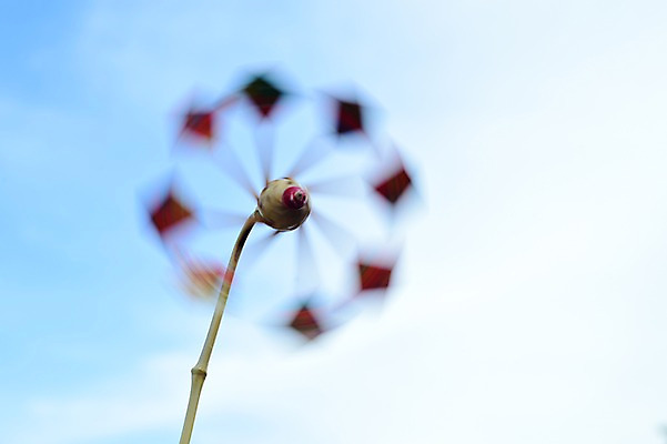 포토 JPG 주간 하늘 전통소품 사람없음 야외 장난감 일본 바람개비 오브젝트 회전 일본전통 국내포토 자연요소 전통 아시아 파일형식