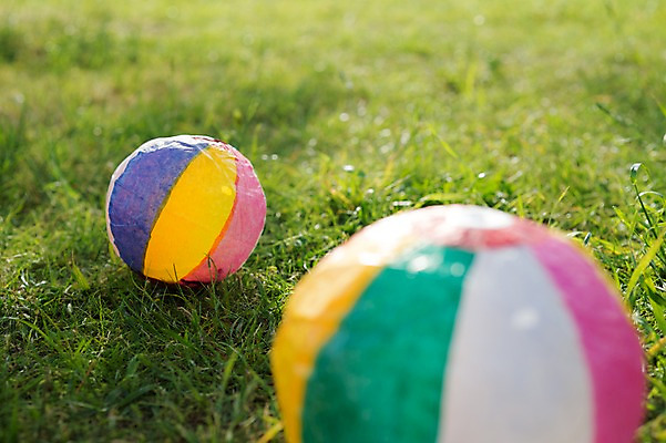 포토 JPG 주간 백그라운드 공 자연 잔디 사람없음 야외 아웃포커스 국내포토 자연요소 식물 촬영기법 생태계 파일형식