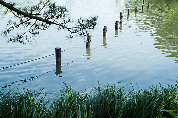 포토 JPG 주간 풍경 사람없음 야외 물 강 일본 말뚝 국내포토 자연요소 아시아 파일형식