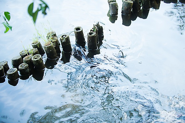 포토 JPG 주간 풍경 사람없음 야외 물 강 일본 말뚝 국내포토 자연요소 아시아 파일형식