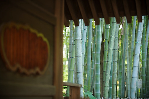 포토 JPG 주간 풍경 사람없음 야외 건물 일본 대나무 일본전통 국내포토 자연요소 나무 전통 건축물 아시아 파일형식