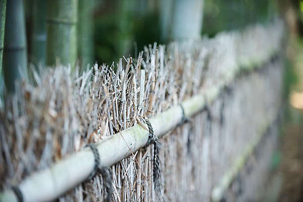 포토 JPG 주간 벽 풍경 사람없음 야외 일본 일본전통 국내포토 자연요소 전통 아시아 파일형식