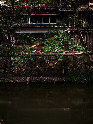 포토 JPG 주간 식물 고건축 풍경 사람없음 야외 건물 목재 일본 일본전통 일본건축 국내포토 자연요소 나무 전통 건축물 아시아 재료 동양건축 파일형식