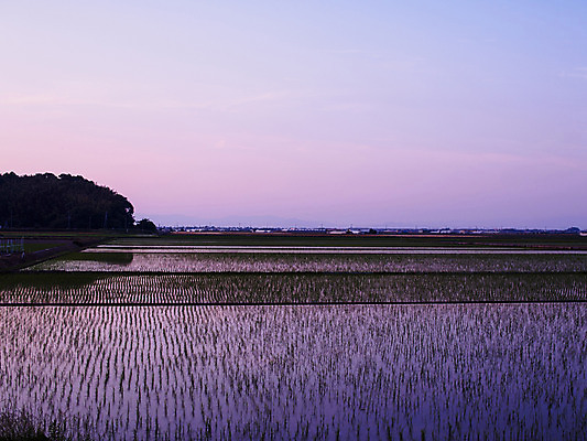 포토 JPG 주간 농업 논 풍경 사람없음 야외 농사 일본 농촌 모내기 국내포토 자연요소 산업 아시아 시골 파일형식