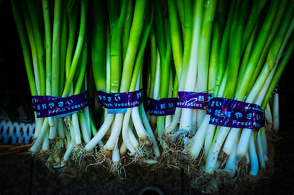 포토 JPG 채소 식재료 사람없음 쌓기 파 국내포토 모션 파일형식