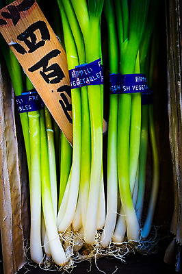 포토 JPG 채소 식재료 사람없음 쌓기 파 국내포토 모션 파일형식