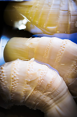 포토 JPG 채소 식재료 재료 사람없음 국내포토 파일형식