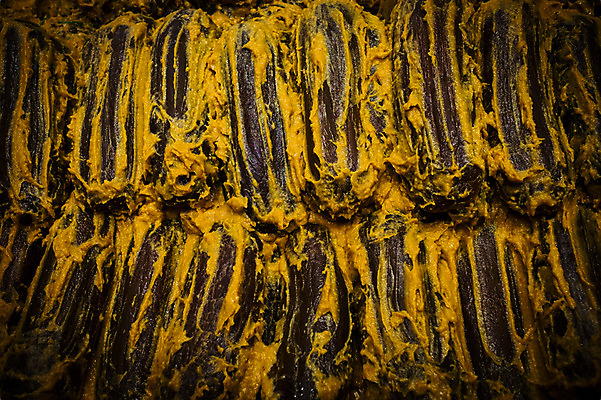 포토 JPG 음식 채소 사람없음 일본 교토 절임 일본음식 국내포토 아시아 파일형식