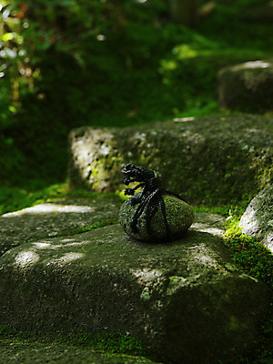 포토 JPG 주간 밧줄 사람없음 야외 일본 돌_바위 바위 묶기 국내포토 자연요소 아시아 줄 모션 파일형식