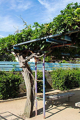 포토 JPG 주간 공원 벤치 사람없음 야외 일본 정자 국내포토 자연요소 건축물 공공시설 아시아 의자 파일형식