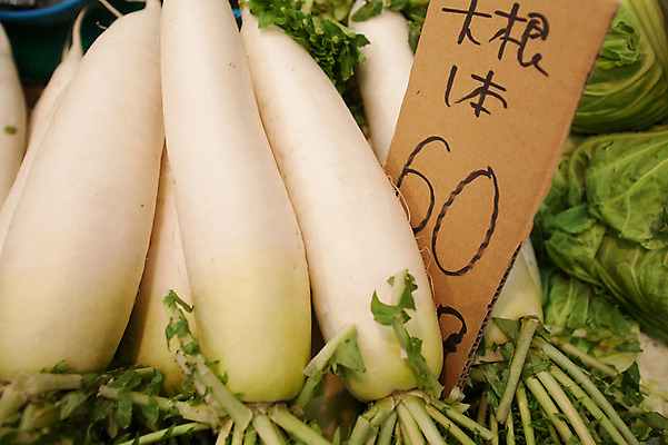 포토 JPG 채소 식재료 사람없음 쌓기 여러개 무 가격표 국내포토 다수 모션 뿌리채소 파일형식