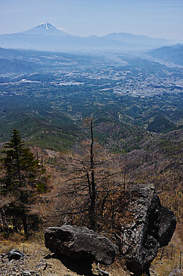 포토 JPG 주간 나무 자연 산 풍경 사람없음 야외 앙상함 야마나시 국내포토 자연요소 식물 일본 생태계 파일형식