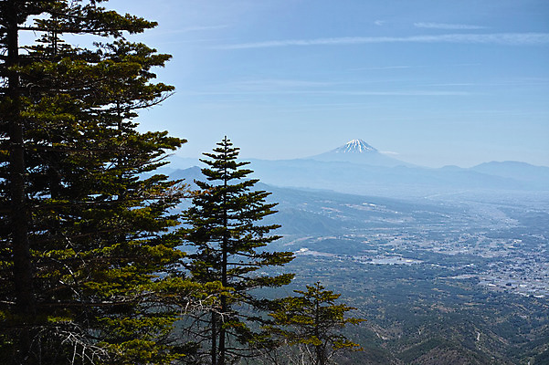 포토 JPG 주간 나무 자연 하늘 산 풍경 사람없음 야외 일본 야마나시 국내포토 자연요소 식물 아시아 생태계 파일형식