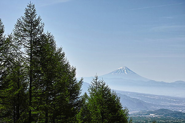 포토 JPG 주간 나무 자연 하늘 산 풍경 사람없음 야외 일본 야마나시 국내포토 자연요소 식물 아시아 생태계 파일형식