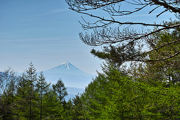 포토 JPG 주간 나무 자연 하늘 산 풍경 사람없음 야외 일본 야마나시 국내포토 자연요소 식물 아시아 생태계 파일형식