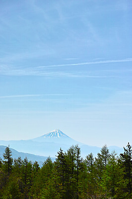 포토 JPG 주간 나무 자연 하늘 산 풍경 사람없음 야외 일본 야마나시 국내포토 자연요소 식물 아시아 생태계 파일형식
