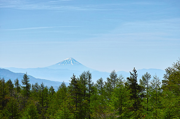 포토 JPG 주간 나무 자연 하늘 산 풍경 사람없음 야외 일본 야마나시 국내포토 자연요소 식물 아시아 생태계 파일형식