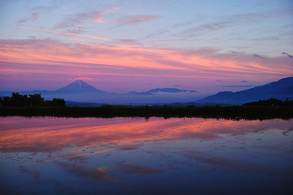 포토 JPG 주간 구름 배경화면 백그라운드 자연 하늘 산 풍경 사람없음 야외 일출 일몰 후지산 야마나시 국내포토 자연요소 노을 일본 세계문화유산 생태계 파일형식