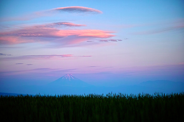 포토 JPG 주간 구름 자연 하늘 산 풍경 사람없음 야외 일출 일몰 후지산 야마나시 국내포토 자연요소 노을 일본 세계문화유산 생태계 파일형식
