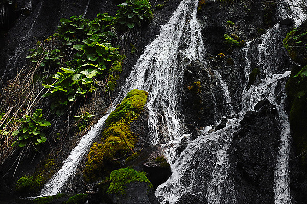 포토 JPG 주간 자연 이끼 풍경 사람없음 야외 물 계곡 일본 바위 야마나시 국내포토 자연요소 아시아 돌_바위 생태계 파일형식