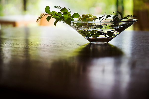 포토 JPG 식물 그릇 화분 배경화면 백그라운드 탁자 실내 사람없음 물 일본 국내포토 자연요소 식기 아시아 가구 내부 파일형식