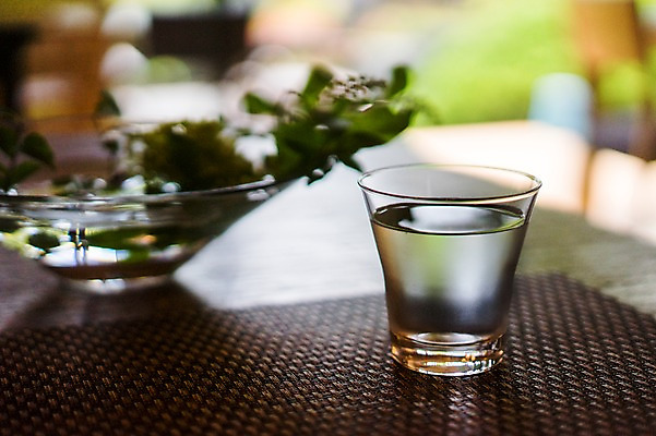 포토 JPG 화분 식탁 잔 실내 사람없음 아웃포커스 물컵 국내포토 식기 탁자 촬영기법 내부 컵 파일형식