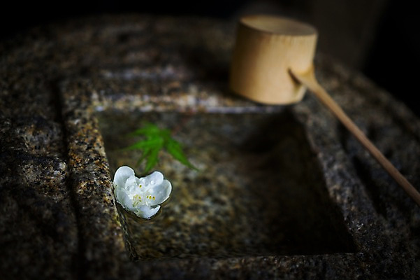 포토 JPG 꽃 한송이 사람없음 야외 일본 샘물 일본전통 바가지 약수터 국내포토 식물 1 전통 아시아 송이 파일형식
