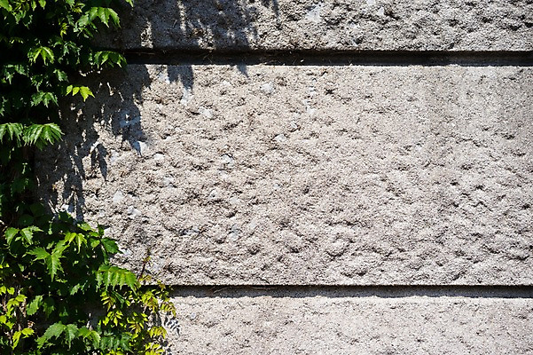 포토 JPG 주간 식물 벽 배경화면 백그라운드 사람없음 야외 일본 돌벽 국내포토 자연요소 아시아 파일형식