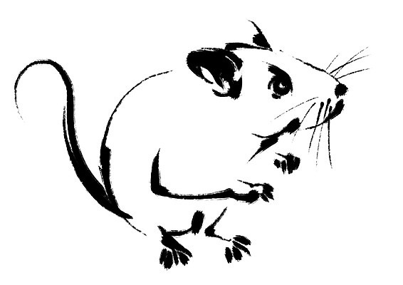 PSD 한마리 일러스트 캘리그라피 사람없음 십이지신 쥐띠 쥐 국내일러스트 1 설치류 파일형식